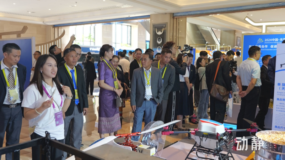 展示成果分享經(jīng)驗，中國—東盟教育交流周深化合作共創(chuàng)未來！