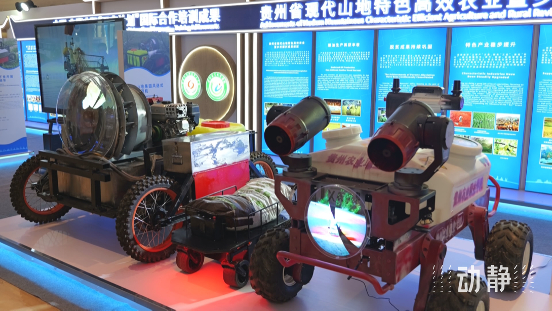 展示成果分享經(jīng)驗，中國—東盟教育交流周深化合作共創(chuàng)未來！