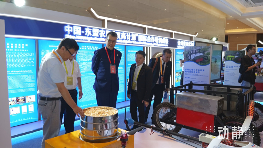 展示成果分享經(jīng)驗，中國—東盟教育交流周深化合作共創(chuàng)未來！