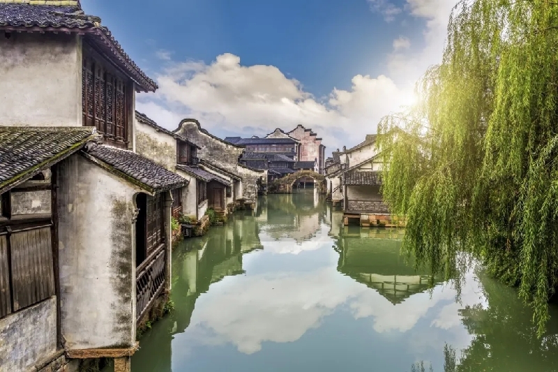 烏鎮(zhèn)動觀察｜這個字，牽起國際交流互鑒之紐帶