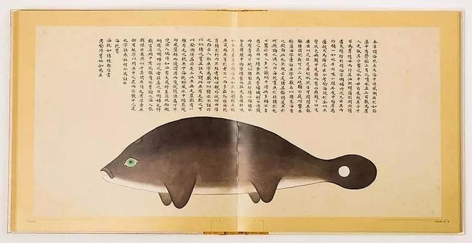 文化中國行 長江之歌丨微笑的江豚，從四千年前“游”來