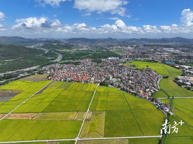 崖口村。