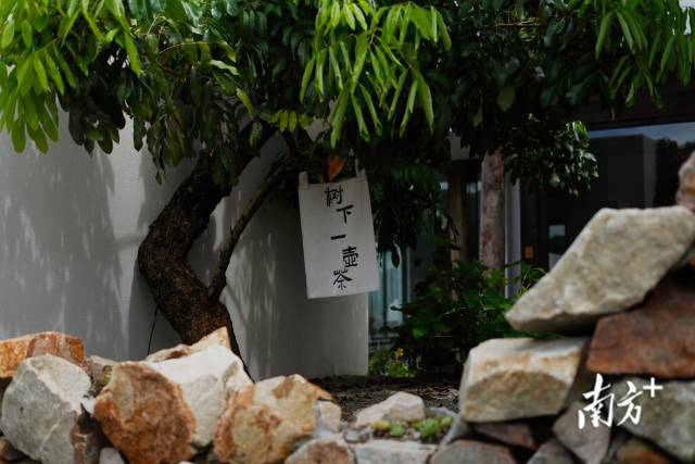 崖口村內(nèi)的文藝民宿。
