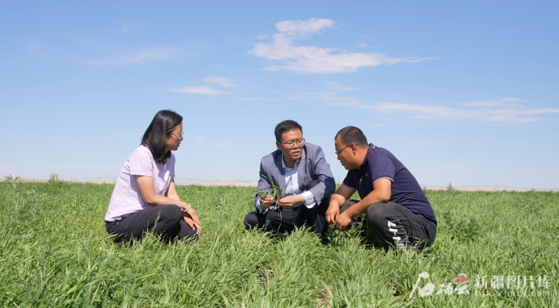 mmexport1754813360664