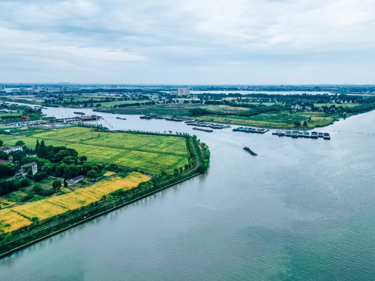 太浦河沿岸好風(fēng)光。吳橫軒攝