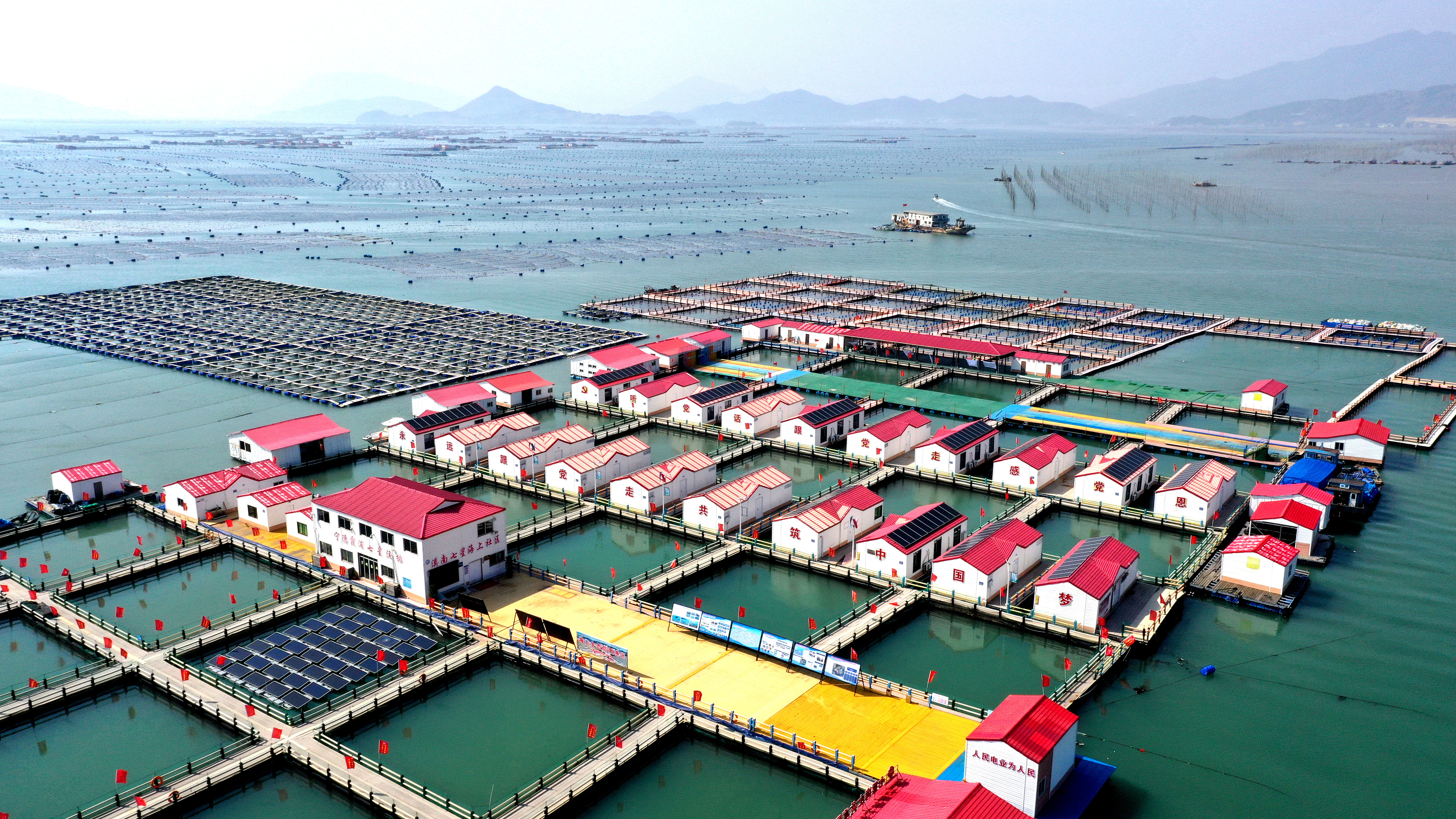 2024年3月20日，福建省寧德市，霞浦縣溪南鎮(zhèn)七星村漁排養(yǎng)殖示范區(qū)，漁民駕駛養(yǎng)殖船進(jìn)行海參養(yǎng)殖作業(yè)。