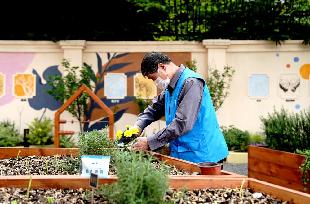 上海市長寧區(qū)虹旭小區(qū)居民在整理改造社區(qū)花園。居民們把堆肥箱里發(fā)酵出來的“綠色材料”和土壤拌在一起鋪在種植箱中（2020年4月22日攝）。新華社記者 張建松 攝