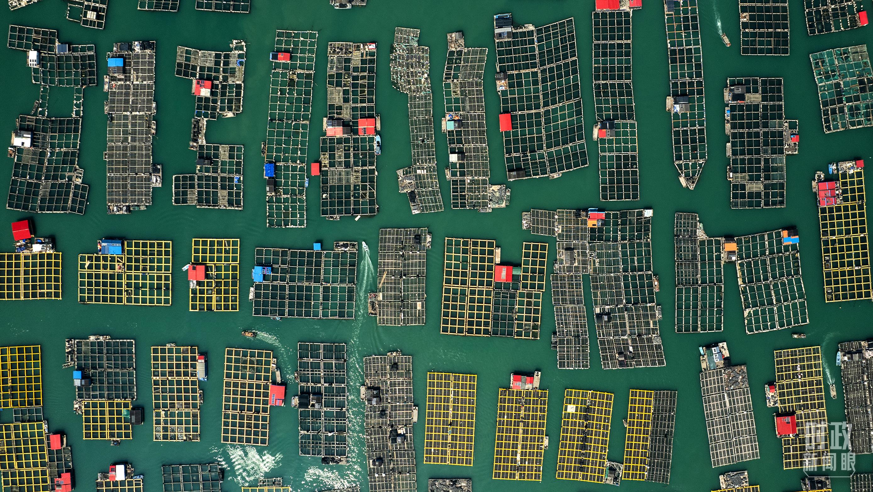 △澳角村。（總臺記者李晉拍攝）