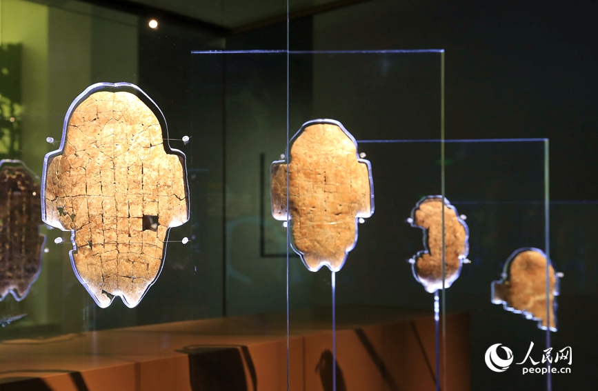 殷墟博物館展出的甲骨文。人民網(wǎng)記者 慎志遠 攝