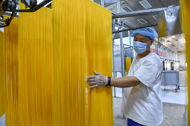2024年1月25日，在吉林省公主嶺市的一家公司車間，工人查看玉米面條生產(chǎn)情況。