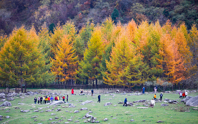 2023年10月27日，深秋時節(jié)的陜西秦嶺太子嶺漫山紅黃、色彩交織，進入最佳觀賞期。