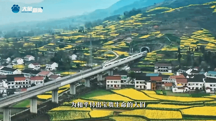 家國(guó)永念 | 看，山河已無(wú)恙