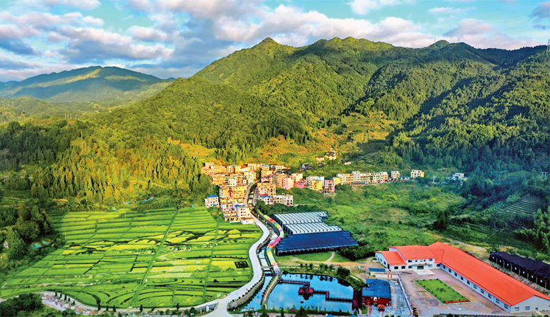 林茂田豐、天藍水清的“七彩”后洋村。 寧德市委宣傳部供圖 （2023年第24期《求是》雜志刊發(fā)）