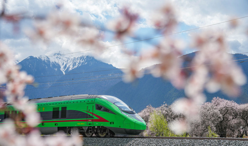 2025年4月2日，復興號列車穿行在拉林鐵路林芝段。