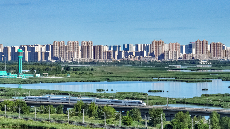 2025年8月17日，一列動(dòng)車組列車駛過(guò)大慶東站。