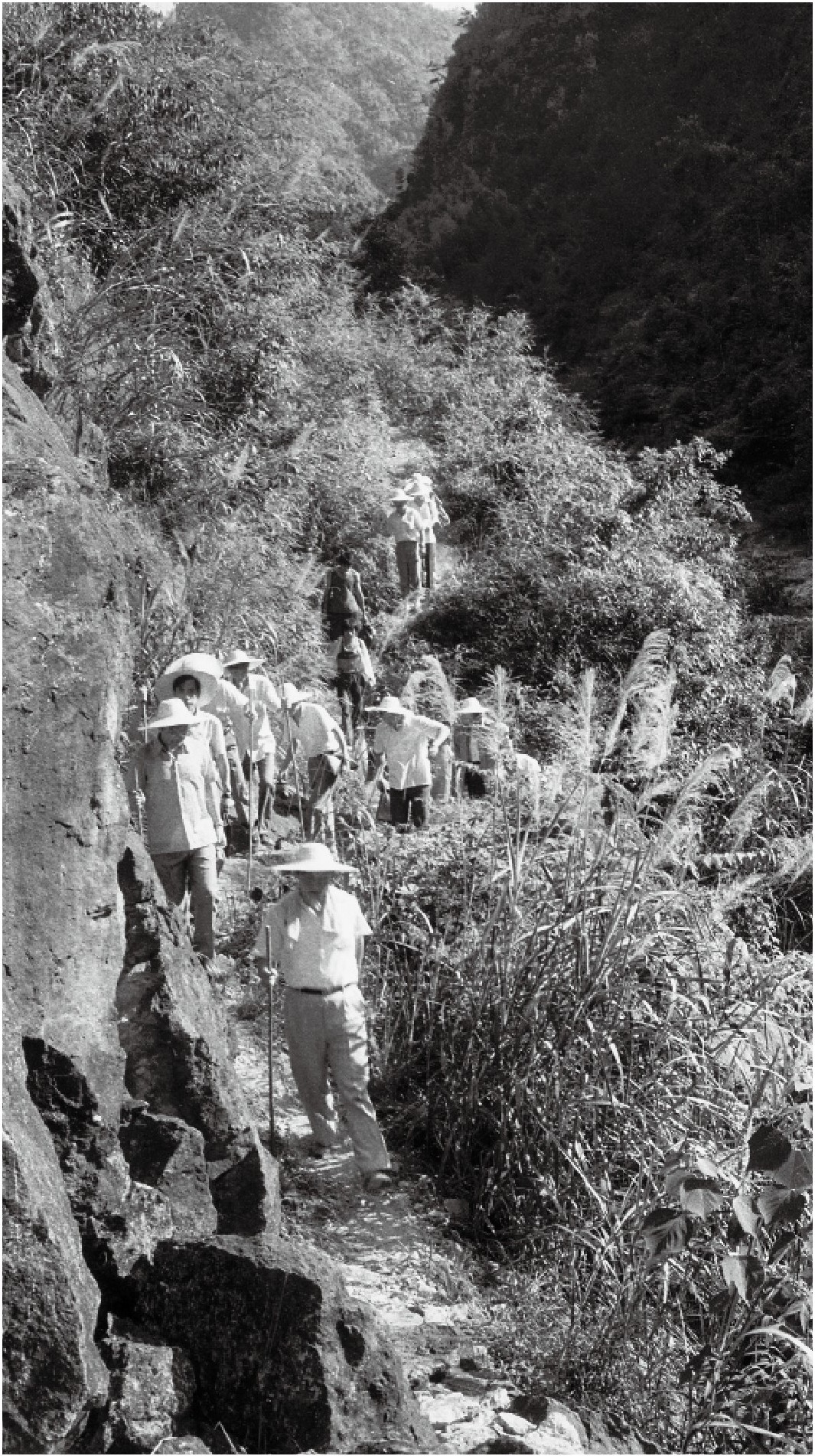 1989年7月，習(xí)近平一行到壽寧縣下黨鄉(xiāng)調(diào)研。