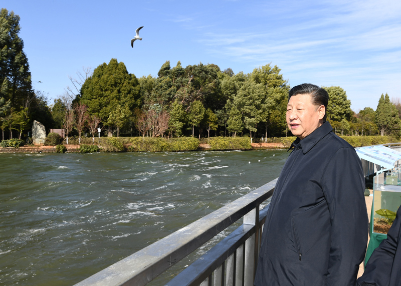 2020年1月20日下午，習(xí)近平總書記在云南昆明滇池星海半島生態(tài)濕地考察調(diào)研。