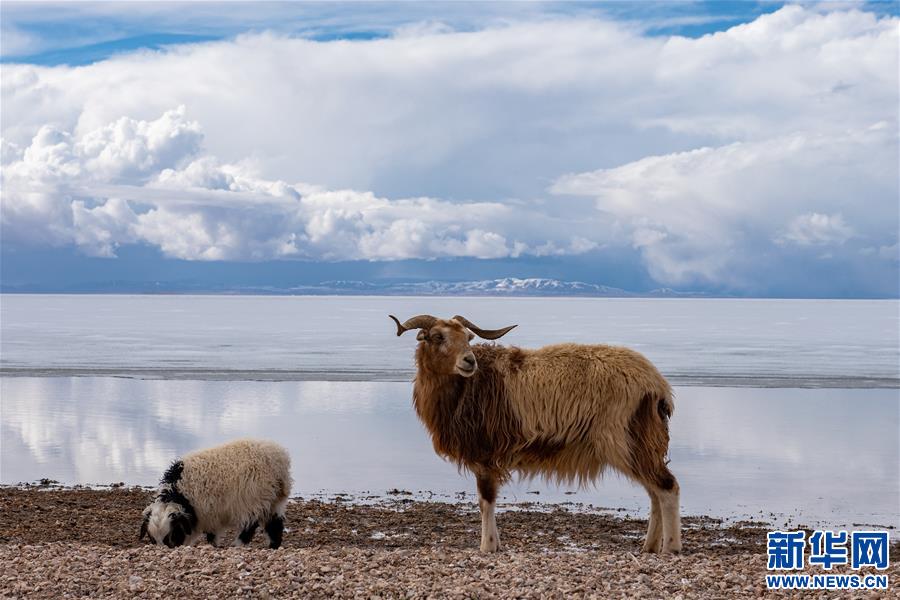 （美麗中國）（3）春暖雪域 色林錯“解凍”