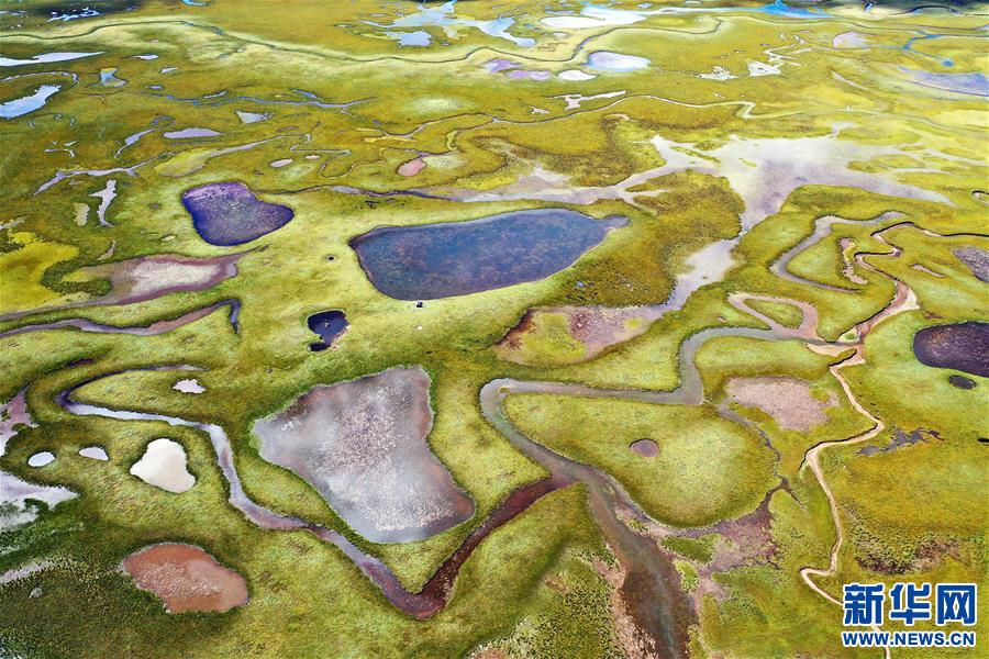 (新華視界)(3)鳥瞰拉妥濕地