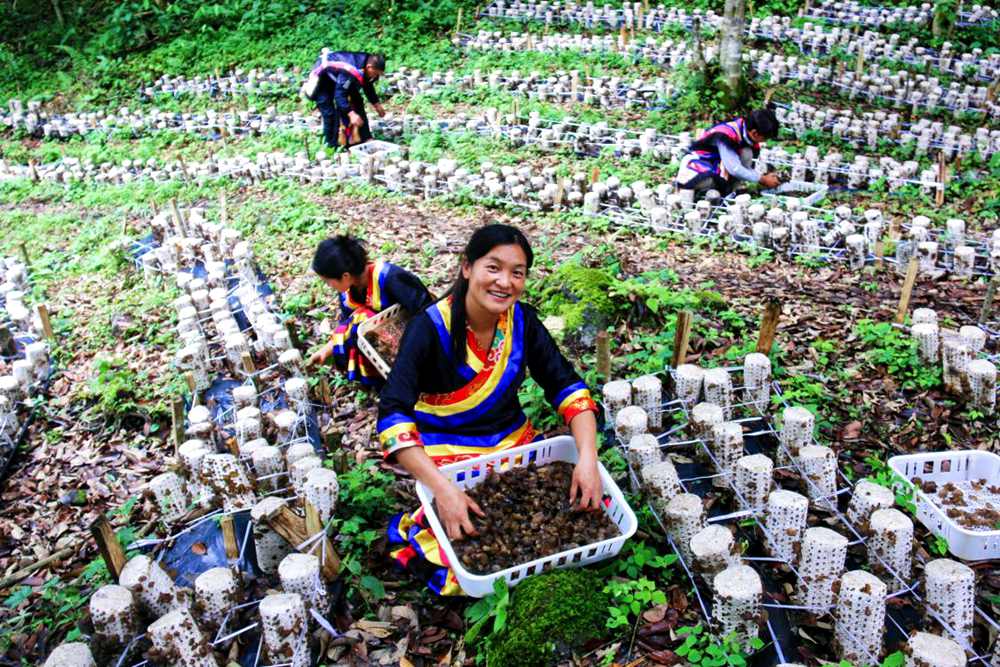 喜獲豐收展笑顏。次仁央宗攝