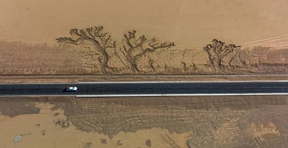 位于國道216沿線的“大地之樹”。邊巴多吉攝