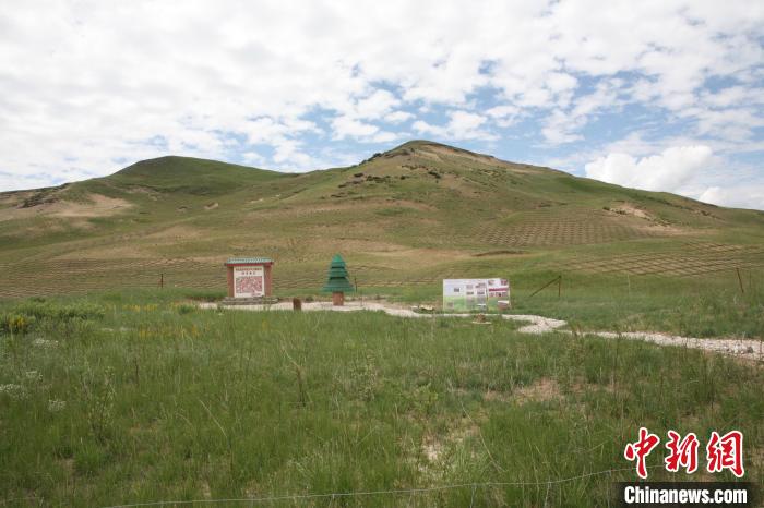 四川省阿壩州若爾蓋縣草原沙化治理后。若爾蓋縣林業(yè)和草原局供圖