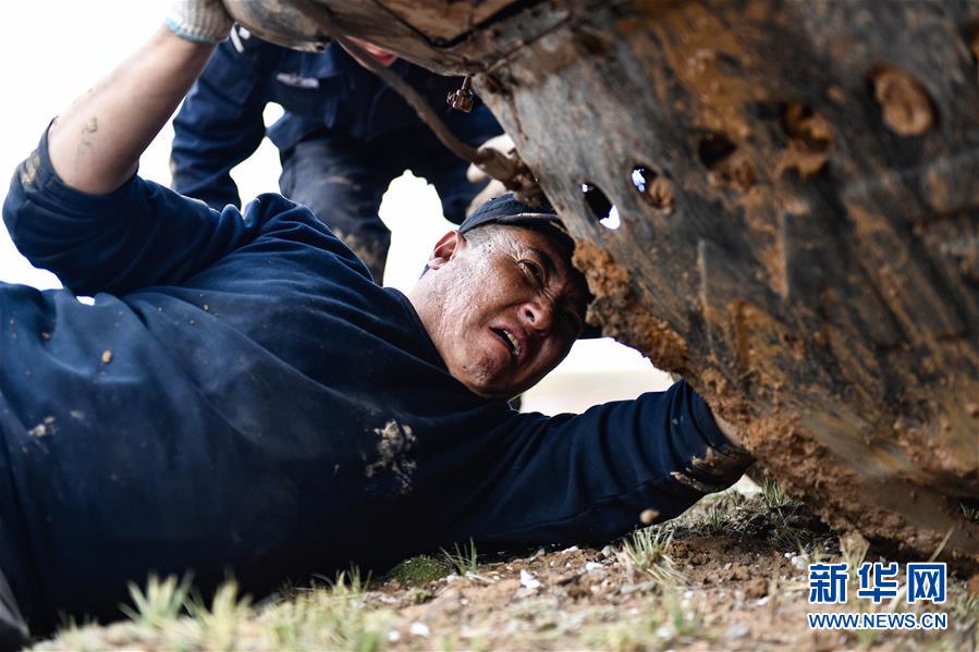 （圖文互動）（1）記者手記：可可西里，“挪”向“藏羚羊大產(chǎn)房”的14個半小時