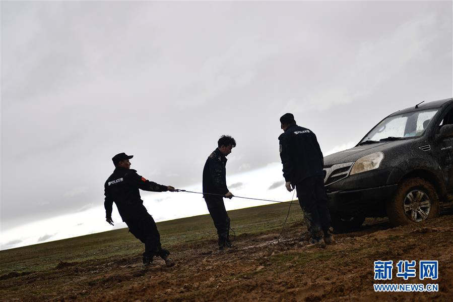 （圖文互動）（10）記者手記：可可西里，“挪”向“藏羚羊大產(chǎn)房”的14個半小時