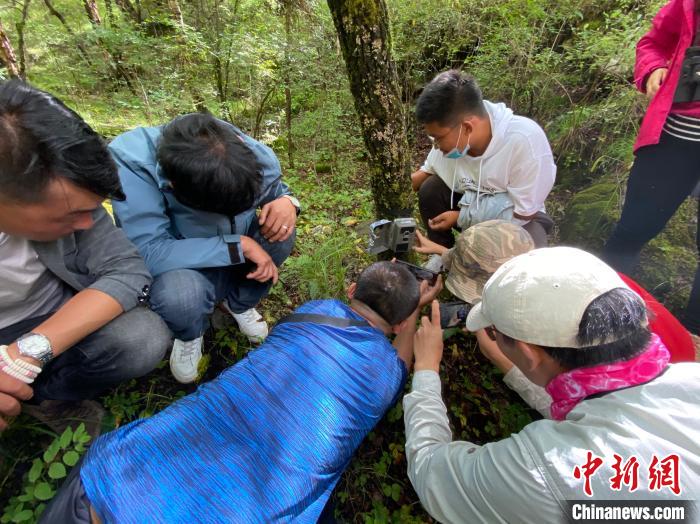 圖為訪(fǎng)客正在查看紅外相機(jī)中的拍攝畫(huà)面。　李江寧 攝