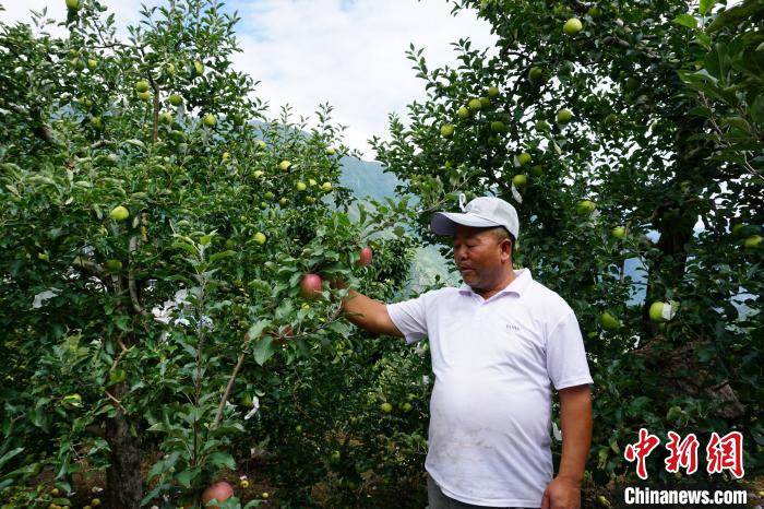 四川瀘定：產(chǎn)業(yè)“開花結果”迎“蝶變”