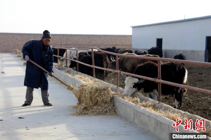 柴達(dá)木盆地蓮湖村：讓致富村民生活“?！逼饋?/></a></div>
                        <div   id=