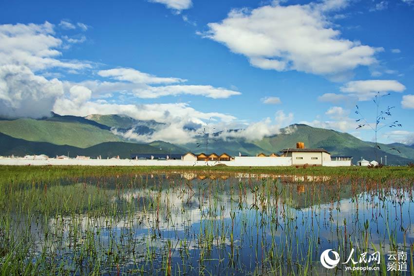 納帕海濕地風(fēng)景。呂昊辰攝