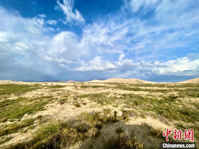 圖為關(guān)停四年后的沙島景區(qū)現(xiàn)狀?！±罱瓕?攝