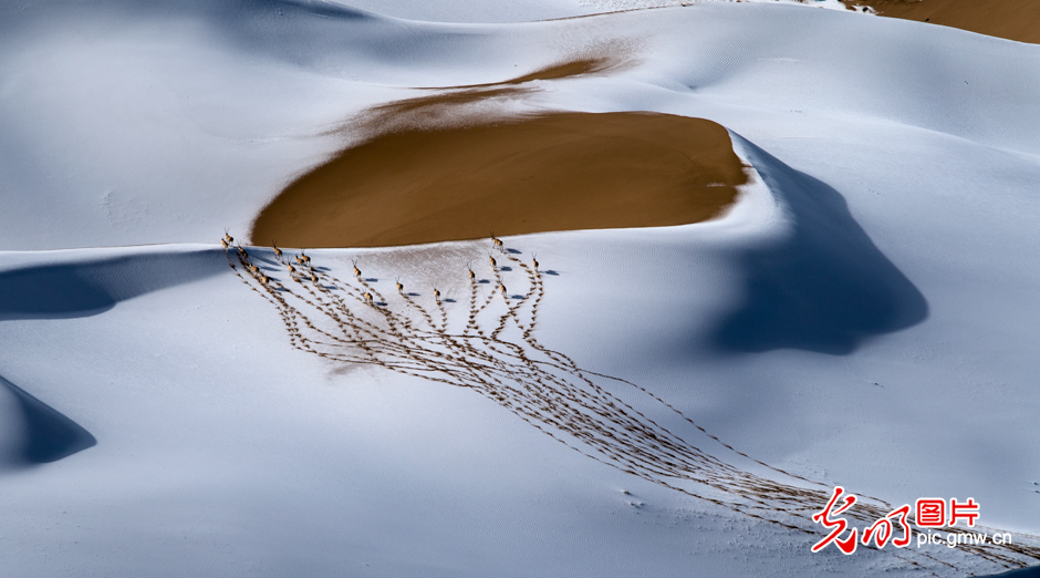 三江源國家公園正式設立，這是青海生態(tài)文明建設的新答卷