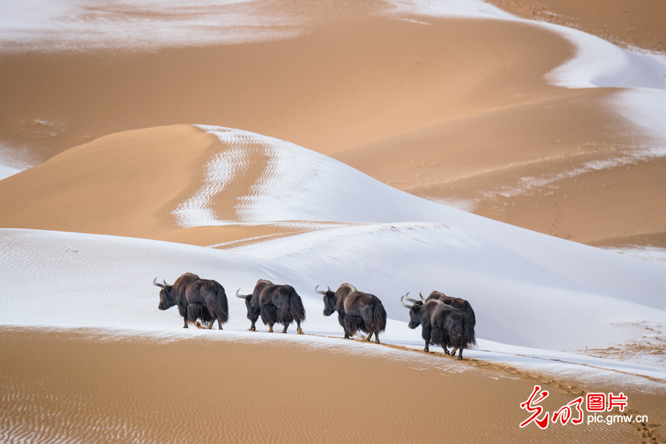三江源國家公園正式設立，這是青海生態(tài)文明建設的新答卷