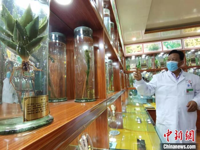 甘肅省甘南藏族自治州碌曲縣藏醫(yī)院副院長看照加近30年的從醫(yī)工作，堅(jiān)持中藏醫(yī)特色優(yōu)勢相結(jié)合診療方法?！堟?攝