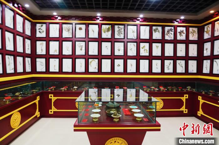 圖為藏藥臘葉標(biāo)本?！●R銘言 攝