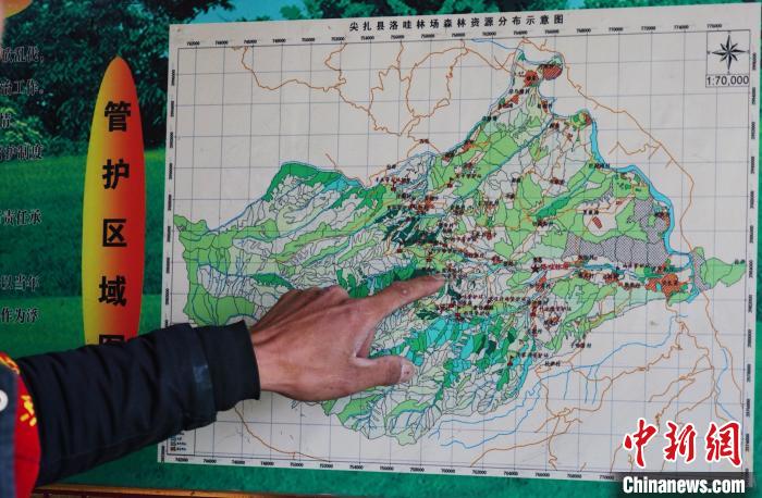 圖為桑杰加介紹管護區(qū)域分布?！●R銘言 攝