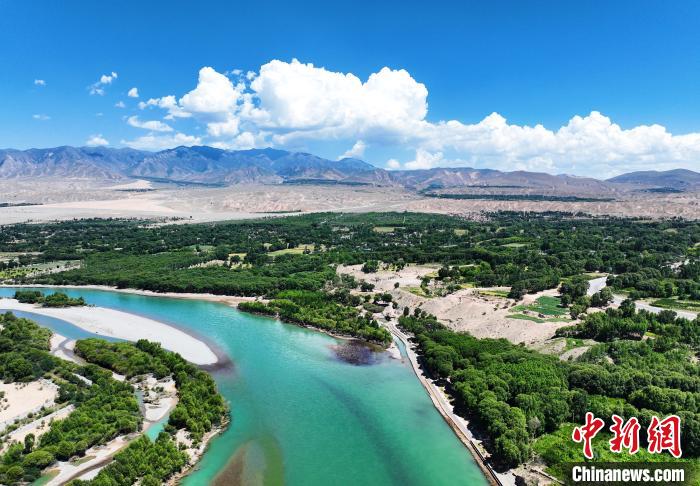 航拍貴德縣黃河岸畔綠意盎然?！●R銘言 攝