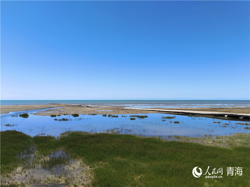   青海湖仙女灣。人民網(wǎng) 張莉萍攝