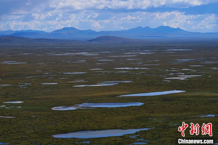 圖為查旦濕地?！●R銘言 攝