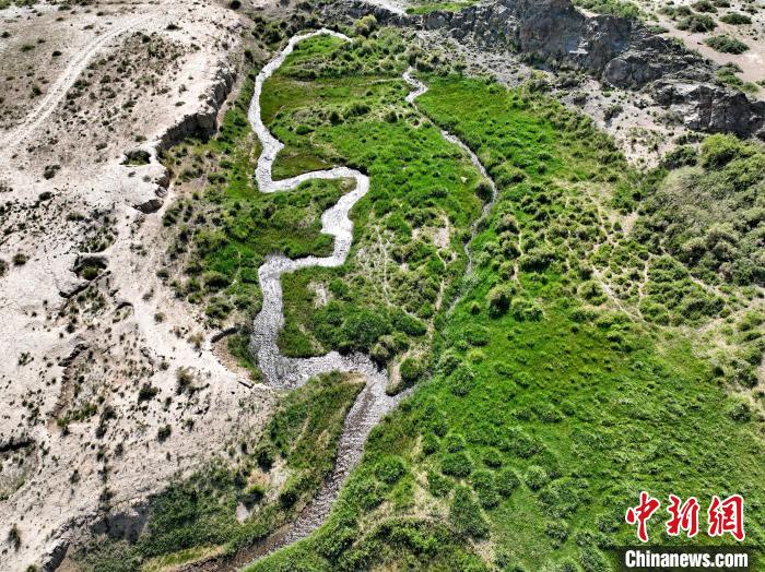 圖為航拍都蘭湖國家濕地公園綠意盎然。　祁增蓓 攝