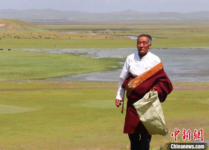 青海澤曲草原守望者:多杰老人和“高原仙子”一家的生態(tài)故事