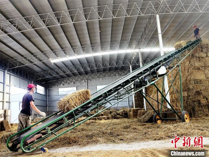 圖為飼草打捆、儲(chǔ)存?！●R芝芬 攝