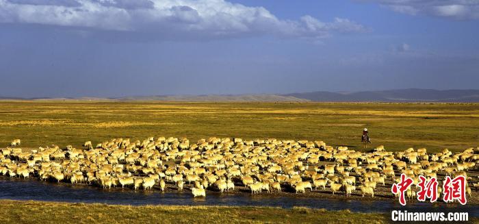 青?，敹唷鞍渍渲椤弊尠傩斟X袋鼓起來(lái)