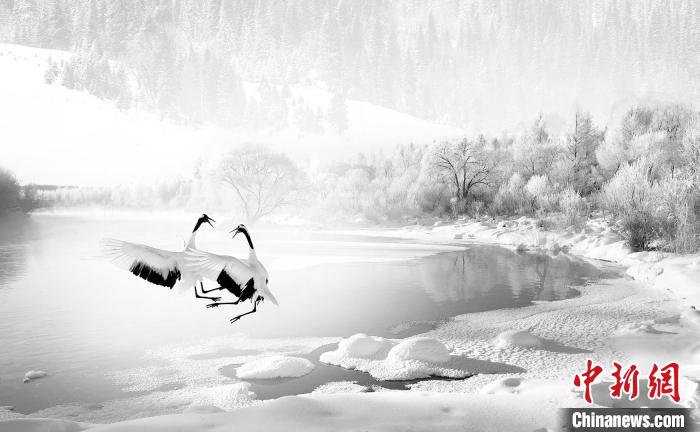 圖為焦生福的作品《鶴嬉雪林》?！∏嗪Ｊ∑钸B山自然保護(hù)協(xié)會(huì)供圖