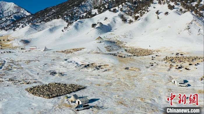 圖為無人機航拍牧場。　都蘭縣融媒體中心供圖