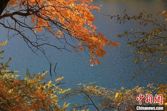 松坪溝風(fēng)光?！⑼?攝