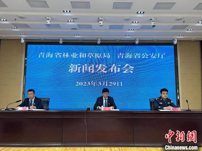 青海去年占用林地、草地準(zhǔn)予許可件同比實(shí)現(xiàn)“雙減”