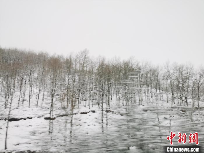 圖為青海青沙山區(qū)域被降雪覆蓋?！?zhí)砀?攝